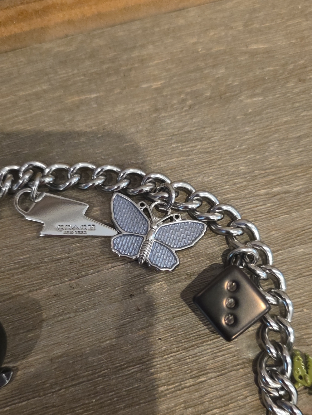 Coach Nwt Charm Chain Strap - Picture 6 of 7